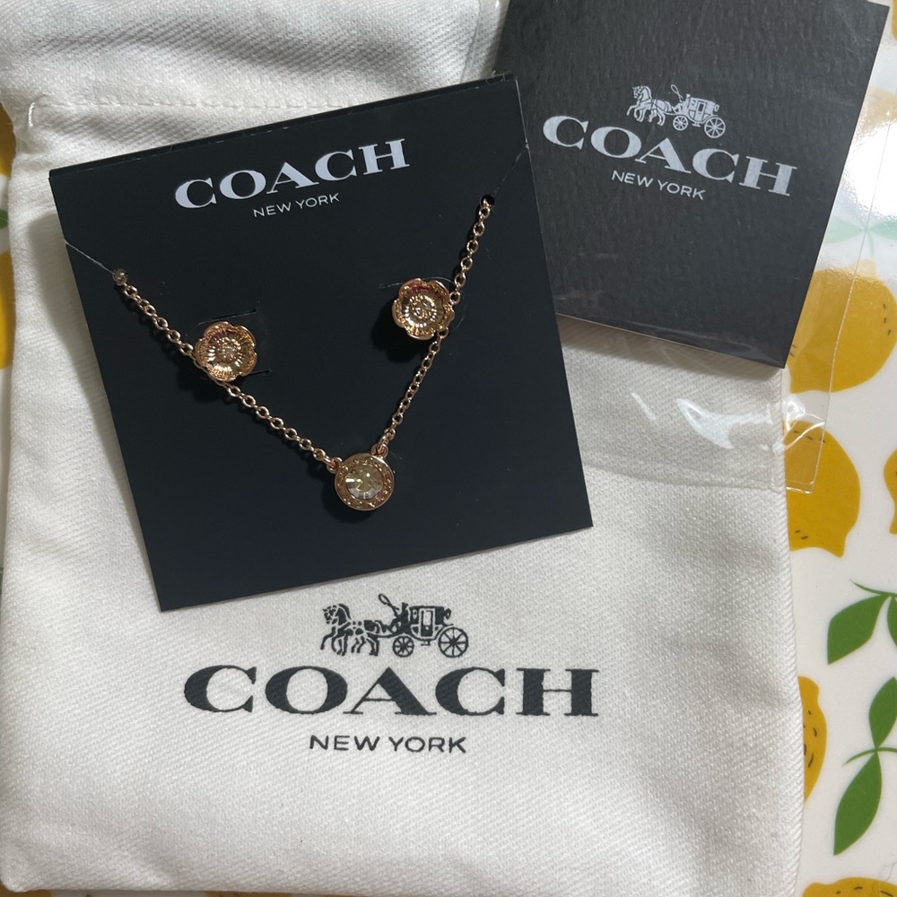 Coach Women's Signature Stone Tea Rose 3-Piece Jewelry Set